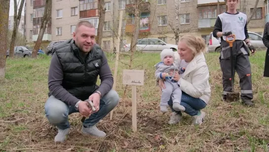 30 берёз высадили сегодня в семейном парке в Вологде