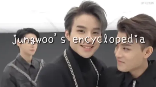 [nct] kim jungwoos encyclopedia