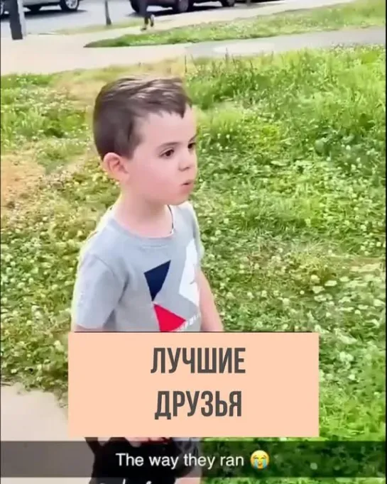 Встреча лучших друзей