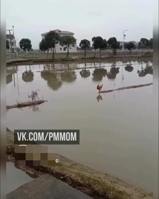 Простой урок. Нет ничего невозможного