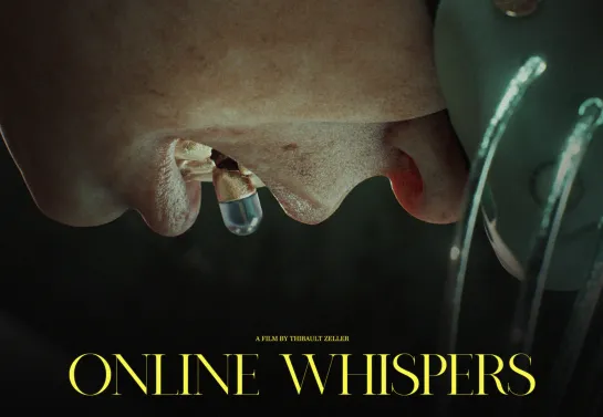 Thibault Zeller & Kevin Raharolahy - ONLINE WHISPERS