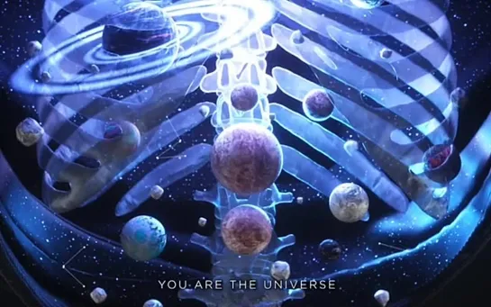 Travis Davids - You Are The Universe