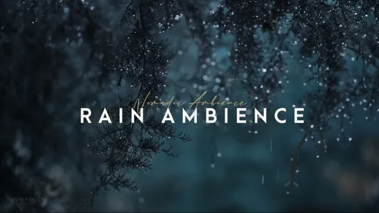 Kyler B YT: Nomadic Ambience - Binaural Rain Sounds (ASMR)