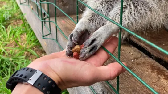 немножко МИМИМИшности в пятницу вечером:)