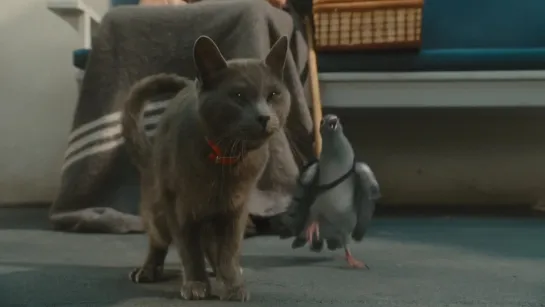 Кошки против собак: Месть Китти Галор / Cats & Dogs: The Revenge of Kitty Galore (BDRip 1080p)