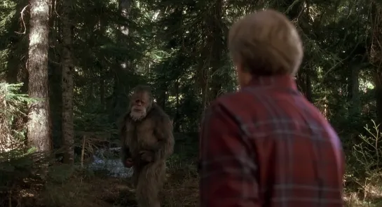 Гарри и Хендерсоны / Harry and the Hendersons (BDRip 720p)