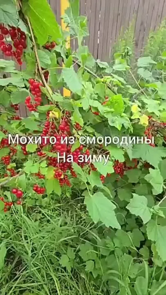 Video by Женские Хитрости