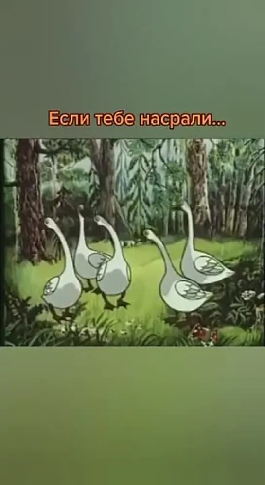 Video by Женские Хитрости