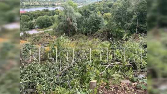 Владелец элитной земли, ради красивого вида из окна, вырубил сотни деревьев на склоне Волги в центре Нижнего Новгорода