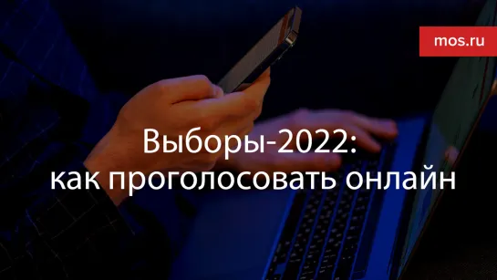 Выборы-2022: как проголосовать онлайн