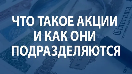 Что такое акции и как они подразделяются?