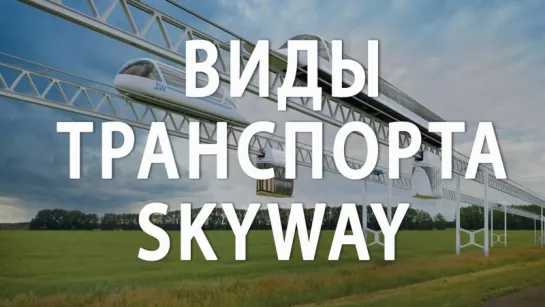 Виды транспорта SkyWay