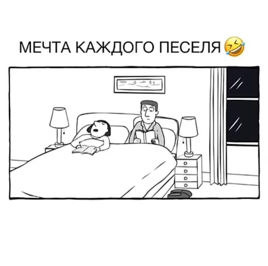 Мечты сбываются 🐕