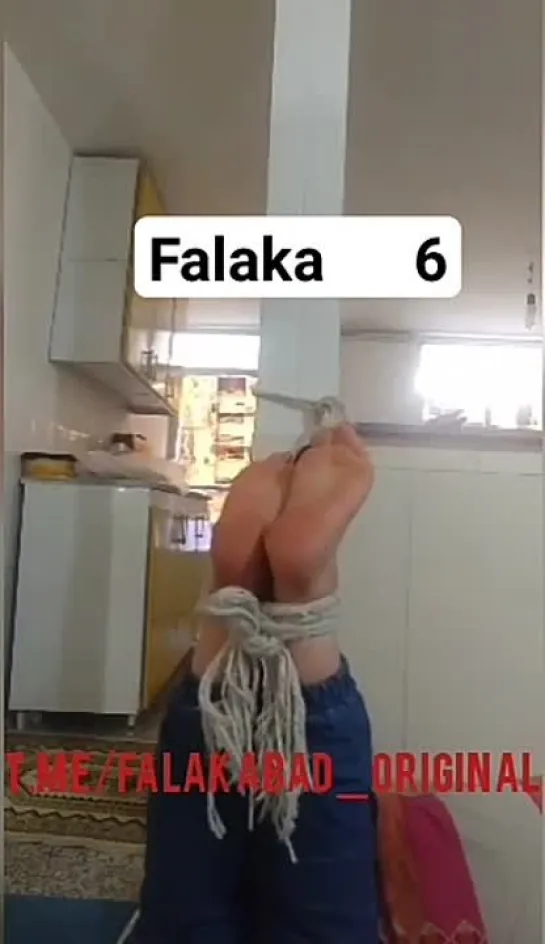 irani falaka 6