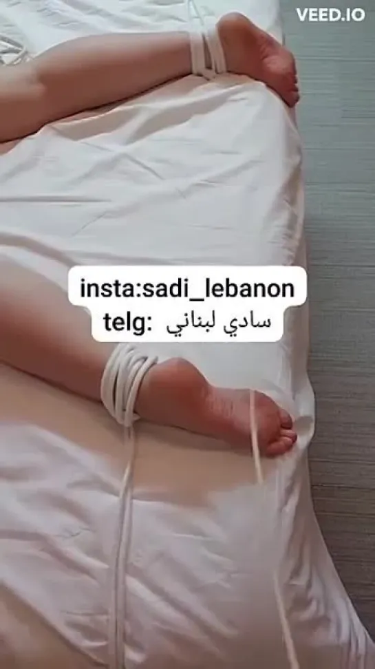 sadi lebanon