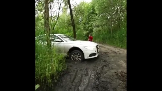 Аудюха по болота. Оффроад. Offroad