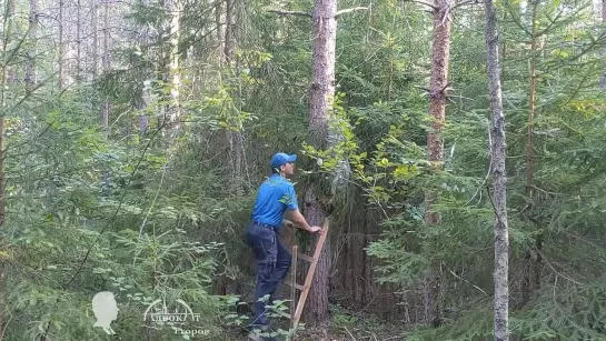 Пчеловодство в каждый дом