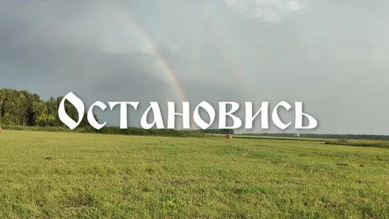 Остановись