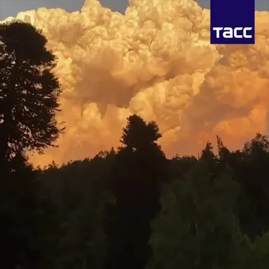 ⚡️Площадь природного пожара в Гоначхирском ущелье в Карачаево-Черкесии выросла до 15 га, — МЧС РФ.