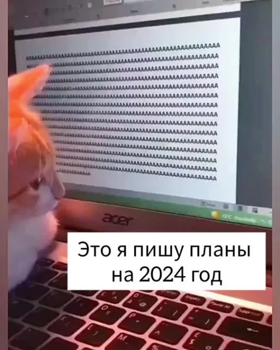 Ааа ааа а не поесть ли мне? 😸