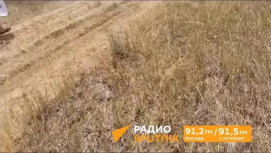 Video by Радио Sputnik