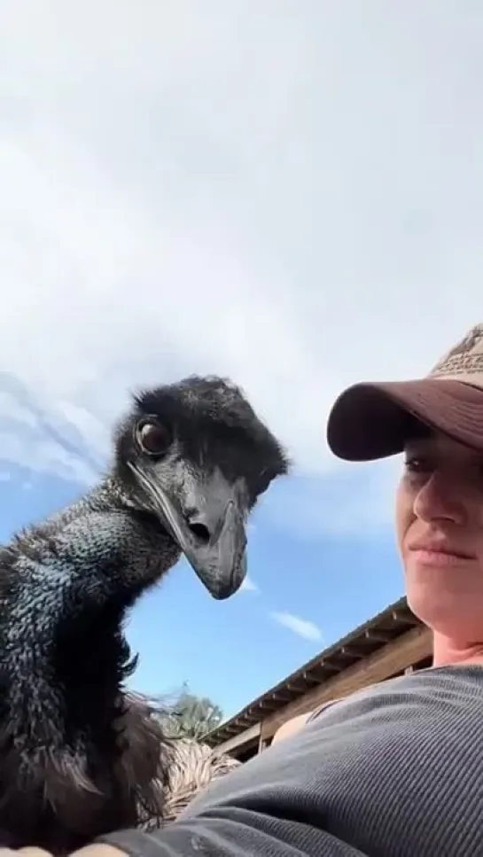 emu