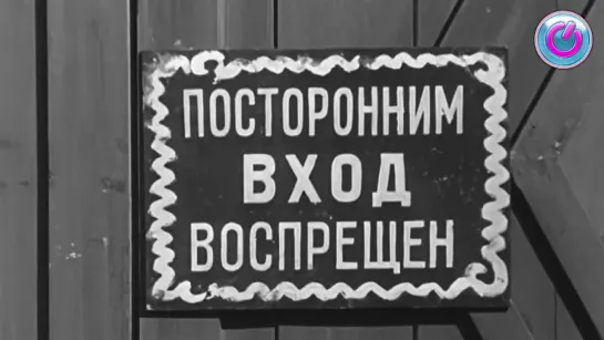 "Добро пожаловать, или Посторонним вход воспрещён". Как дети становились актёрами?