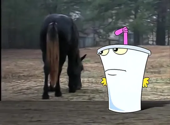 Welcome to this horses anus - Aqua teen hunger force