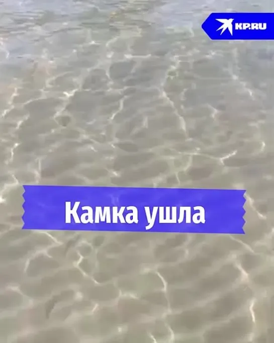 Камка ушла