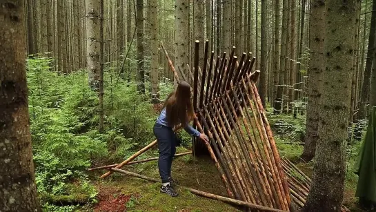 Bushcraft adventure_ Rainforest Shelter Build _ Cook King porcini, Wild Tea  Bu