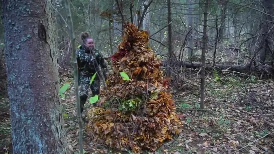 Vivid Shelter in the Forest