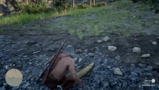 Catching fish in RDR2