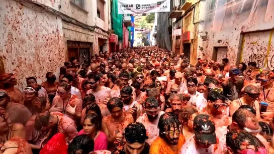 Ежегодная томатная битва на фестивале La Tomatina состоялась в Испании