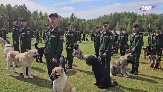 В центре собаководства ВС Россиив Дмитрове отметили столетие со дня основания питомника