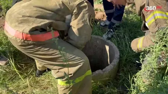 Спасатели вызволили собаку со дна колодца всего за две минуты в Лобне