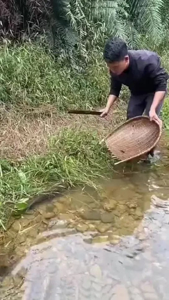 Бедная 🐟 рыба