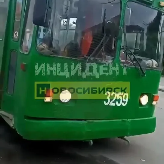 Собака