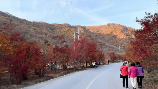 Осенняя дорога...🍂🍁🍂 Автомобильная экскурсия по живописному району Лаобянгоу - провинция Ляонин. 🚙🚘🚗