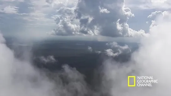 NG: Национальные парки Америки. Эверглейдс / America's National Parks. Everglades (2015)