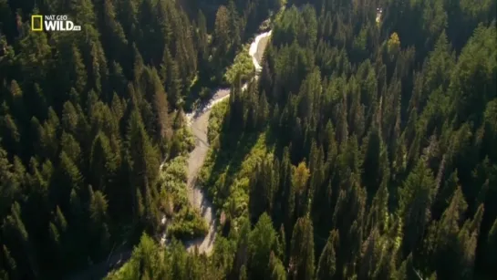 NG: Национальные парки Америки. Олимпик / America's National Parks. Olympic (2015)