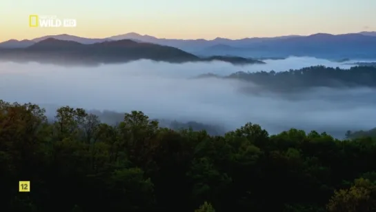 NG: Национальные парки Америки. Грейт-Смоки-Маунтинс / America's National Parks. Great Smoky Mountain (2015)