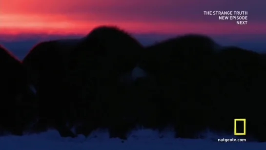 NG: Национальные парки Америки. Арктические врата / America's National Parks. Gates of the Arctic (2015)