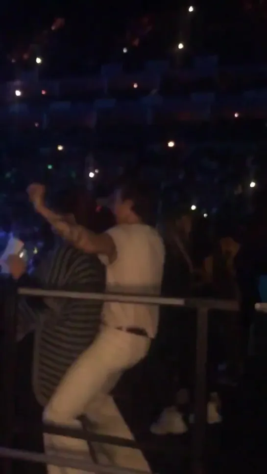 harry at ariana grande concert 9