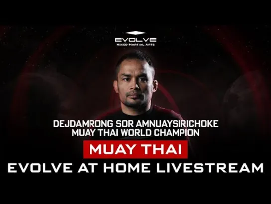 EVOLVE - Muay Thai training at home