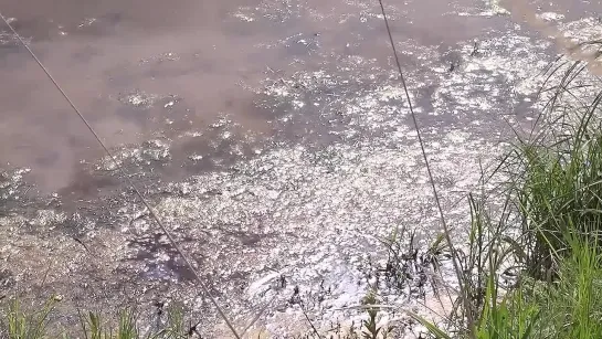 Месячник безопасности на воде