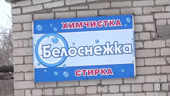 Дисквалификация директора