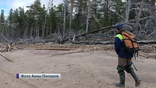 Поиски завершены