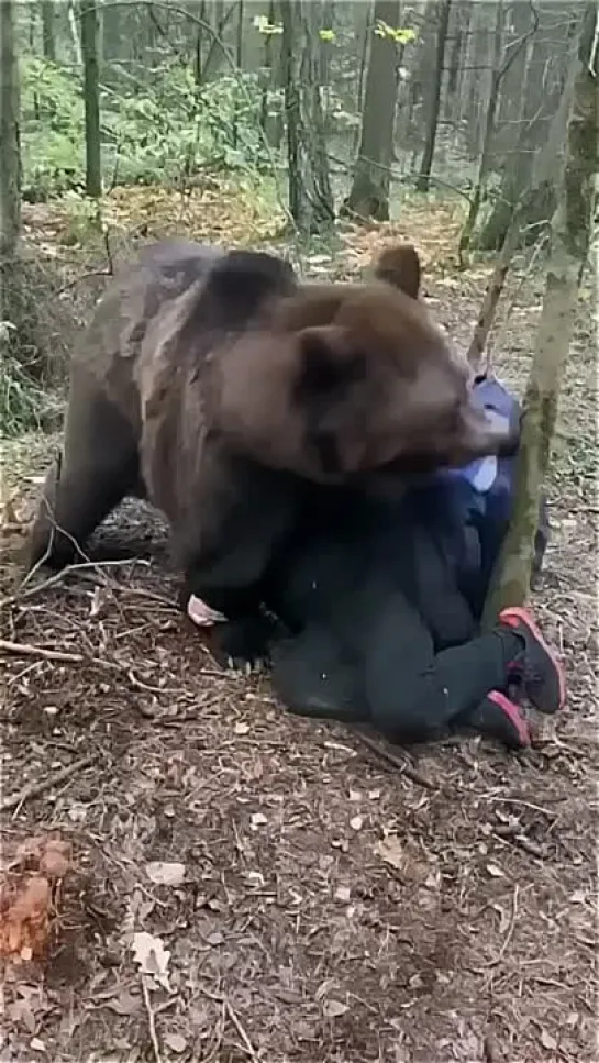 Видео от Смешно До Боли