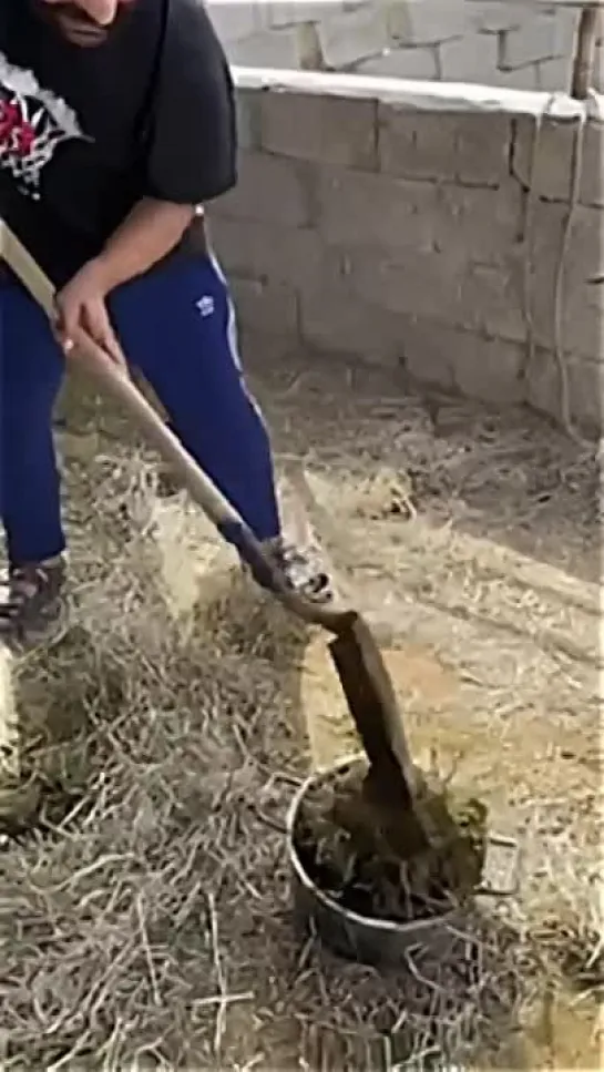 Видео от Смешно До Боли