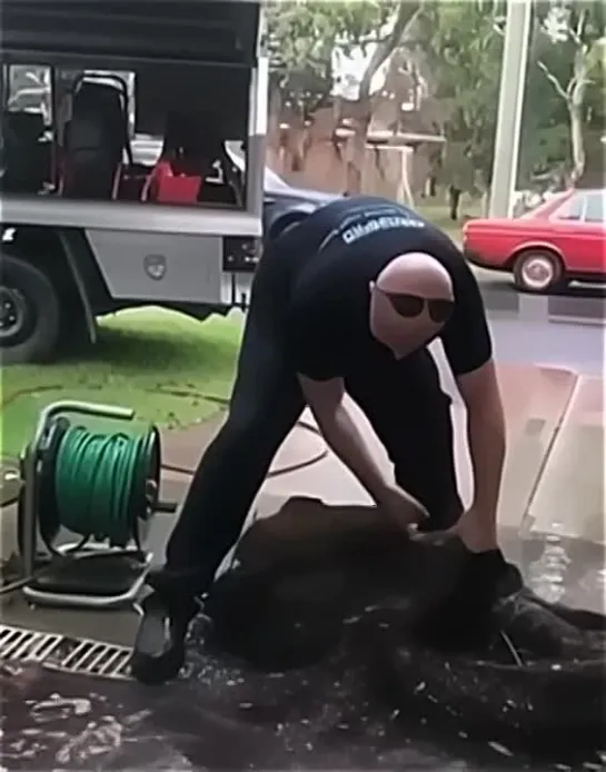 Видео от Смешно До Боли